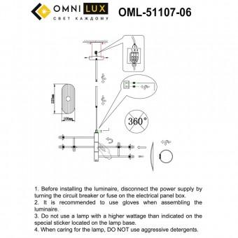 OML-51107-06 Светильник потолочный