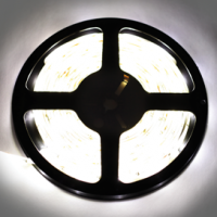 Лента LED.влагозащ.IP65,белая,7.2Вт/м,12В,Экола(30свд/м,h=8мм) 4200К stripPRO (P5LV07ESB) Лента LED.влагозащ.IP65,белая,7.2Вт/м,12В,Экола(30свд/м,h=8мм) 4200К stripPRO (P5LV07ESB)