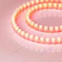 Лента LED.DIP Led 12V 96Led 7.7Вт/м IP67 красная (Арлайт)