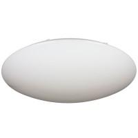 OML-43007-100 Светильник LED OML-43007-100 Светильник LED