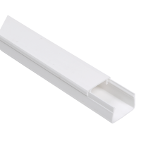 Кабель-канал 25*25 ECOLINE (кратно 2м)