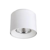 CLT 522C117 WH (CRYSTAL LUX) Светильник потолочный