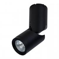 C019CW-01B Потолочный светильник LED 10W 3000K