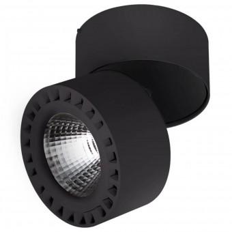 381374 Светильник Lightstar Forte LED 35w 4000K  Ip65