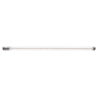 Лампа-Фито LED T8-600 8w G13 для растений 230В Jazzway, лампочка