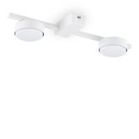 FR5363CL-02W Потолочный светильник